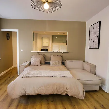 Appartement Centre Ville, Gare 600m, Prox Lille, Lit King Size *
