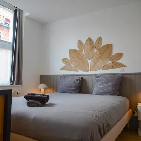 Centre Ville, Wifi, Gare 600m, Prox Lille, Lit King Size * Τουρκουάν