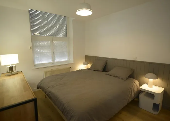 Le Cosy, Rdc, Centre Ville, Wifi, Proche Gare, Prox Lille, Apartment