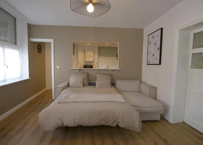 Apartment Le Cosy, Rdc, Centre Ville, Wifi, Proche Gare, Prox Lille, *