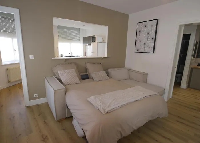 Apartment Le Cosy, Rdc, Centre Ville, Wifi, Proche Gare, Prox Lille, *