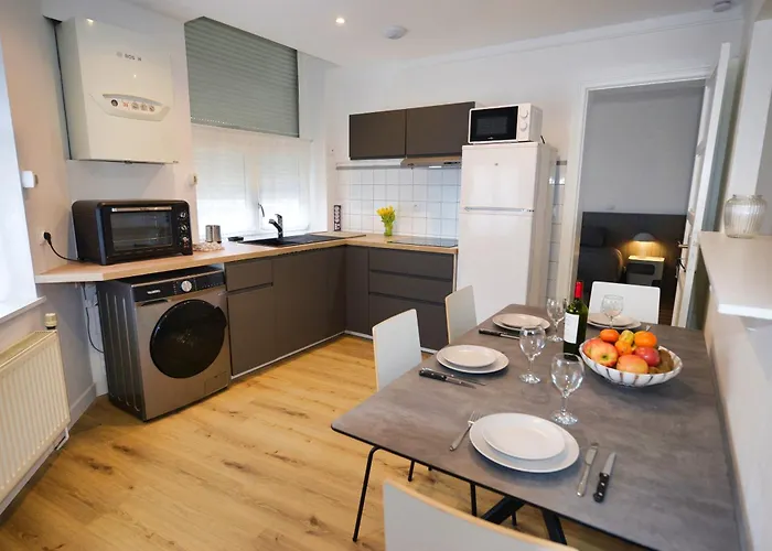 Apartment Le Cosy, Rdc, Centre Ville, Wifi, Proche Gare, Prox Lille,