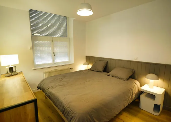 Le Cosy, Rdc, Centre Ville, Wifi, Proche Gare, Prox Lille, Apartment *