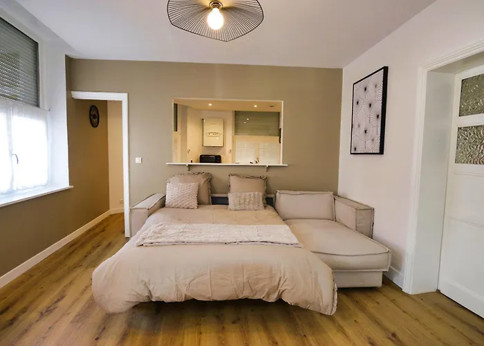 Apartment Le Cosy, Rdc, Centre Ville, Wifi, Proche Gare, Prox Lille, *