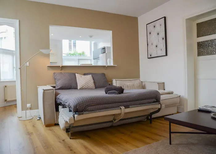 Le Cosy, Rdc, Centre Ville, Wifi, Proche Gare, Prox Lille, Apartment