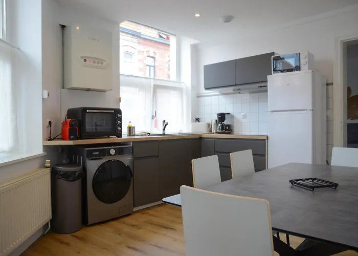 Apartment Le Cosy, Rdc, Centre Ville, Wifi, Proche Gare, Prox Lille,